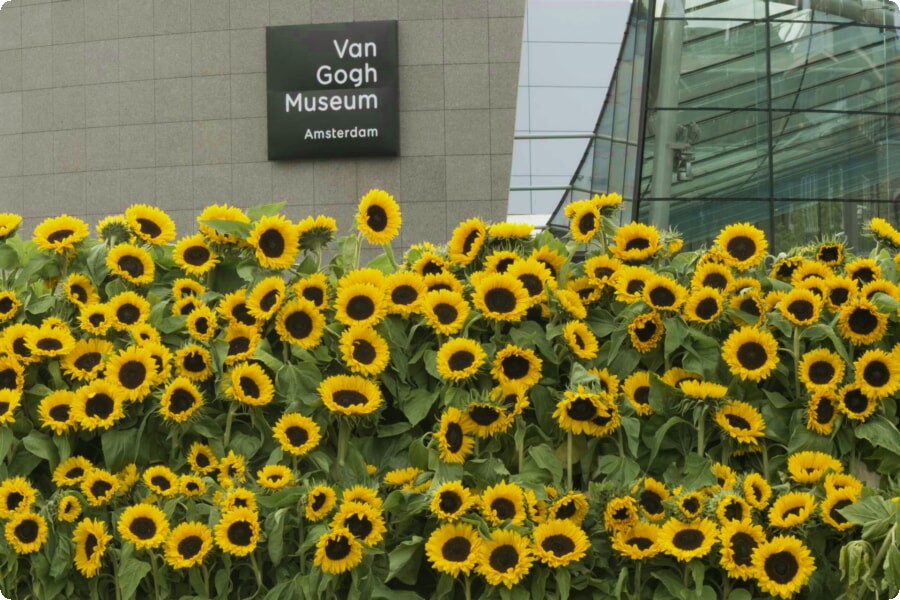 En reise gjennom Vincents verden: Utforsking av Van Gogh-museet i Amsterdam